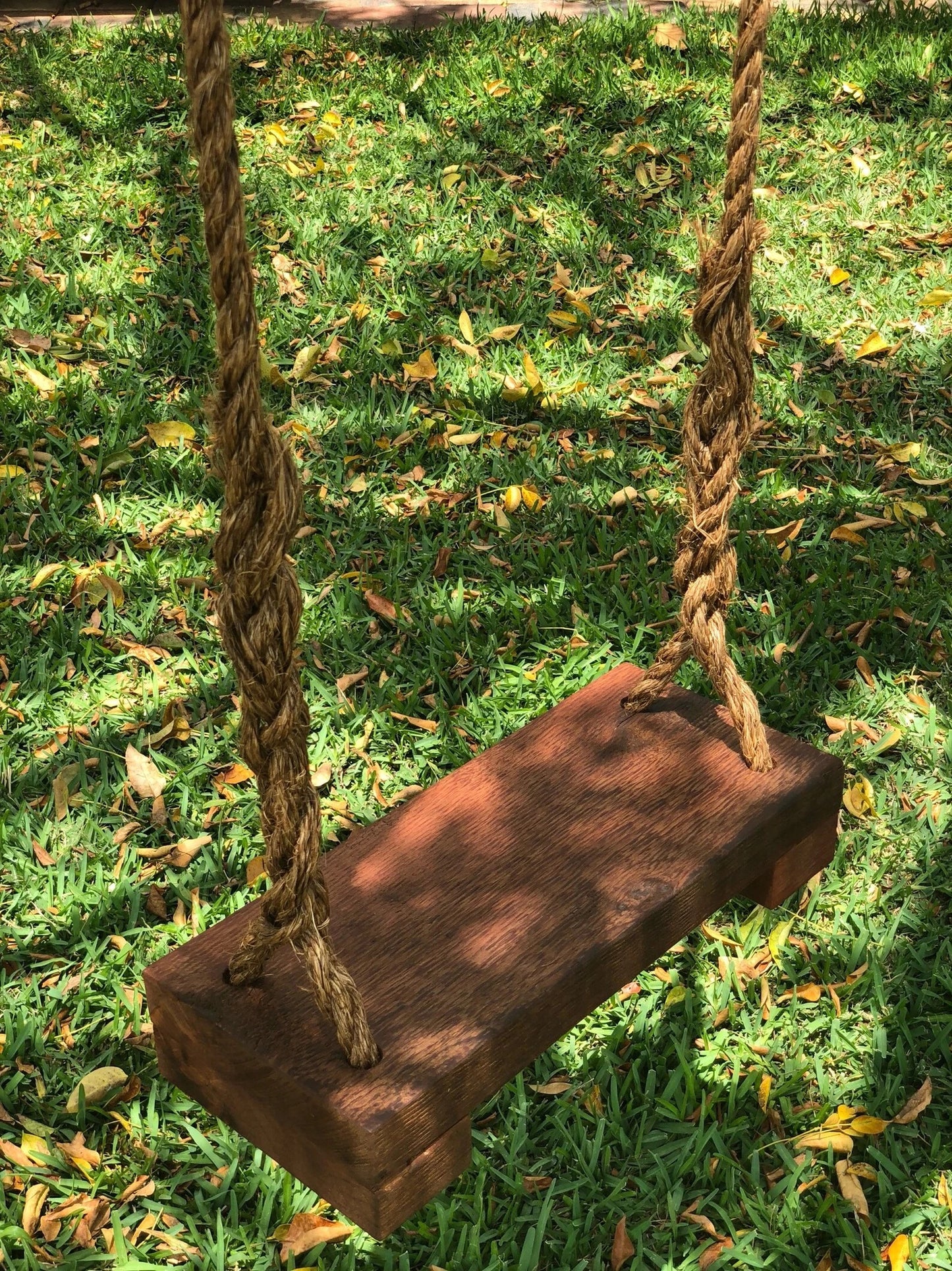 Tree Swing Cedar
